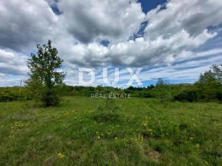 Land Labin, 11.202m2