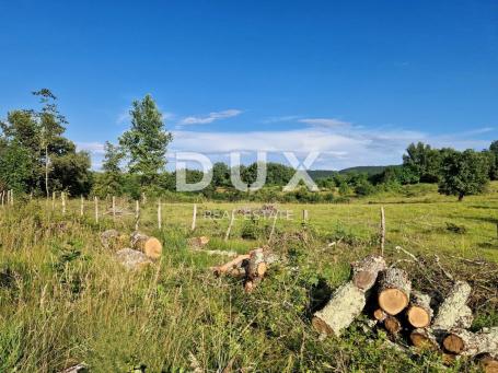 ISTRIA, GROŽNJAN - Spacious land on the edge of the village