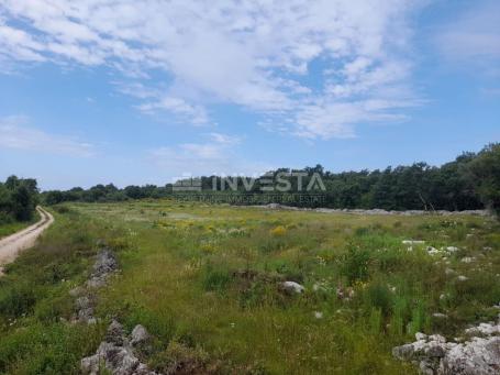 Rovinj, poljoprivredno zemljište 21. 206 m² s ucrtanim spremištem od 14 m2