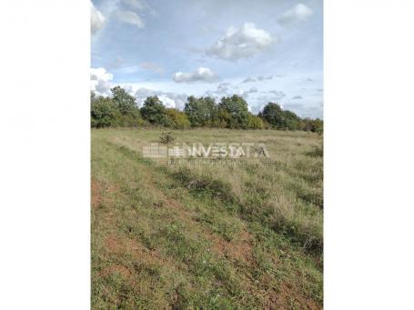 Tar, Agricultural land 10,000 m2