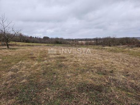 Žminj, prostrano građevinsko-poljoprivredno zemljište, 15. 258 m2