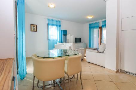 Stan/Apartman Novigrad, 64, 38m2