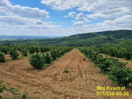 Mladenovac, Kosmaj - Oglavci, plac 9ha