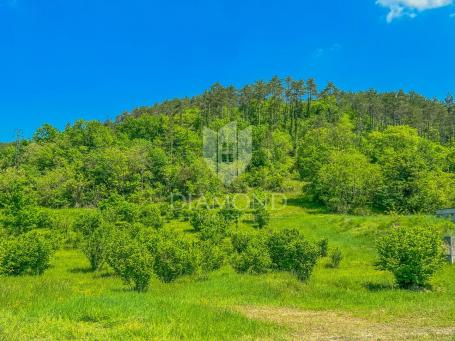 Zemljište Oprtalj, 4. 607m2