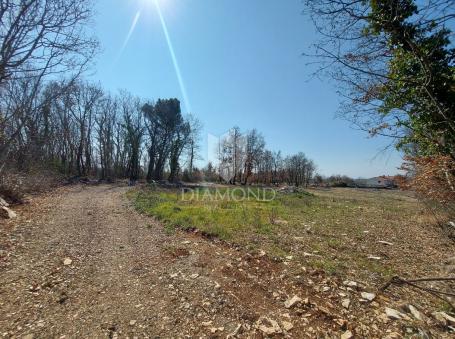 Land Tinjan, 4.831m2