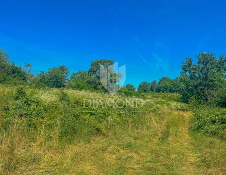 Zemljište Motovun, 4. 680m2