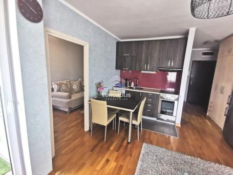 Bulevar Mihajla Pupina, renoviran, namešten, 1. 5, 41m2 ID#6401