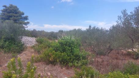 Building land Sali, 736m2