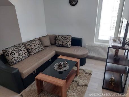 Izdavanje, Stan, 33. 00m2 , Centar