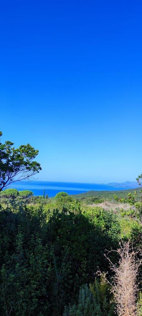Urbanizovan plac 2.500 m² sa pogledom na more – Zagora, Kotor