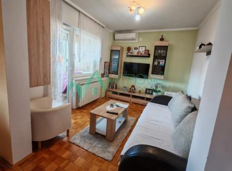 Izdavanje, Stan, 50m2 , Detelinara