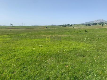 Prodaja – Zemljiste Pasina Voda 2, Zabljak