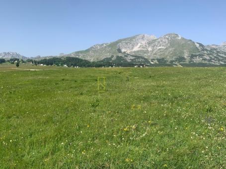 Prodaja – Zemljiste Moticki Gaj, Zabljak