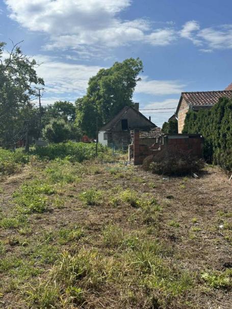 Surčin, Progar, 11.5 a
