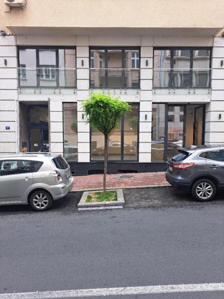 Lokal 224m2, dva nivoa, ulica Dobračina, Dorćol