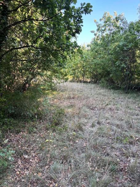Orbanići - zemljište mješovite namjene, 1302 m2