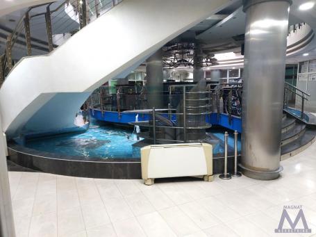  Novi Sad - centar - TC Lupus, prodaje se odmah useljiv poslovni prostor od 25m2, prvi sprat, uknjiž