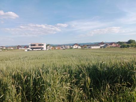 GRAĐEVINSKI PLAC! Mogućnost pravljenja dve urbane vile !