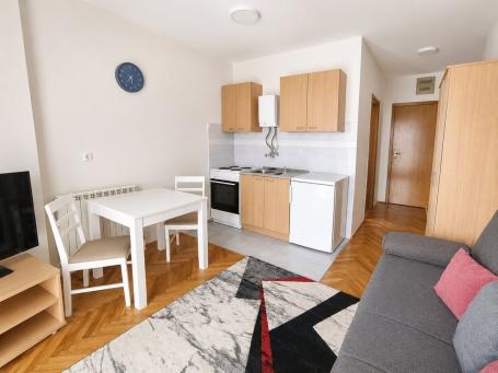 GRBAVICA – DANILA KIŠA, GARSONJERA SA TERASOM – 260 €