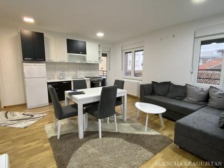 Izdavanje, Stan, 45m2 , Centar